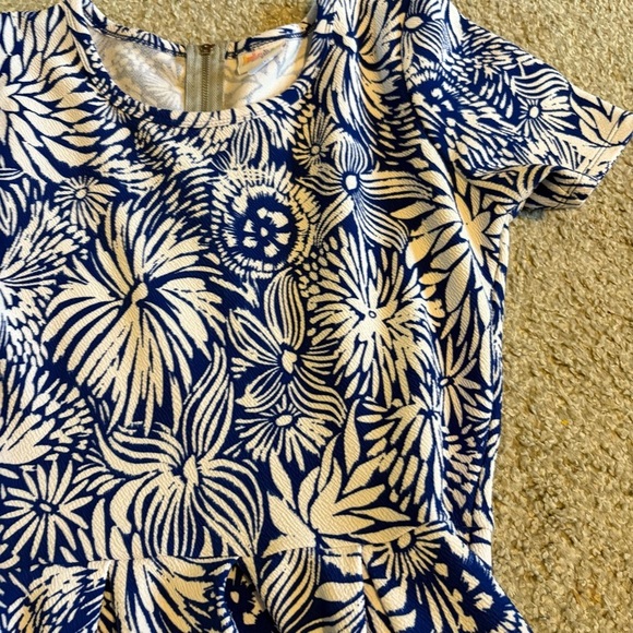 Lularoe Amelia Blue Floral Simply Comfortable Dress Large Red Pink Short Sleeve - Picture 3 of 6